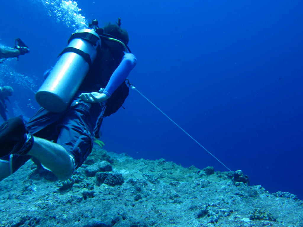Reef Hook diving in Palau 5 reasons why you should!