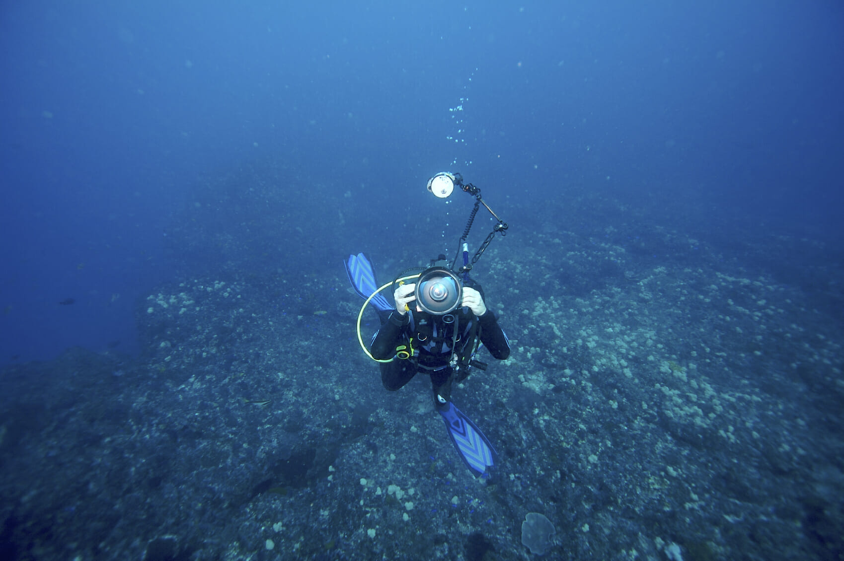 Palau Dive Adventures Here is Why UW Photographers Love to Dive Palau